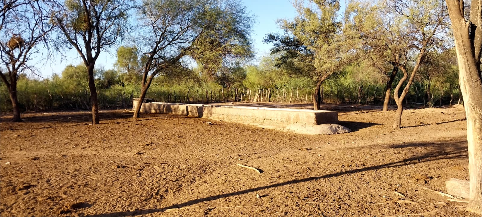 SE VENDE CAMPO EN PIEDRITAS BLANCAS DE 2545 HAS